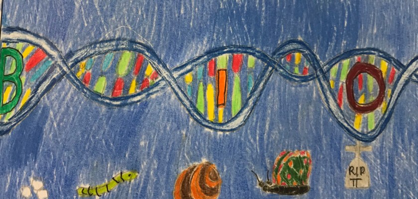 5F5E295F-F1FD-40B5-9572-7B4E60FDE490